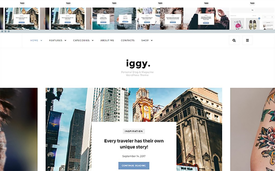 Iggy Wordpress Theme