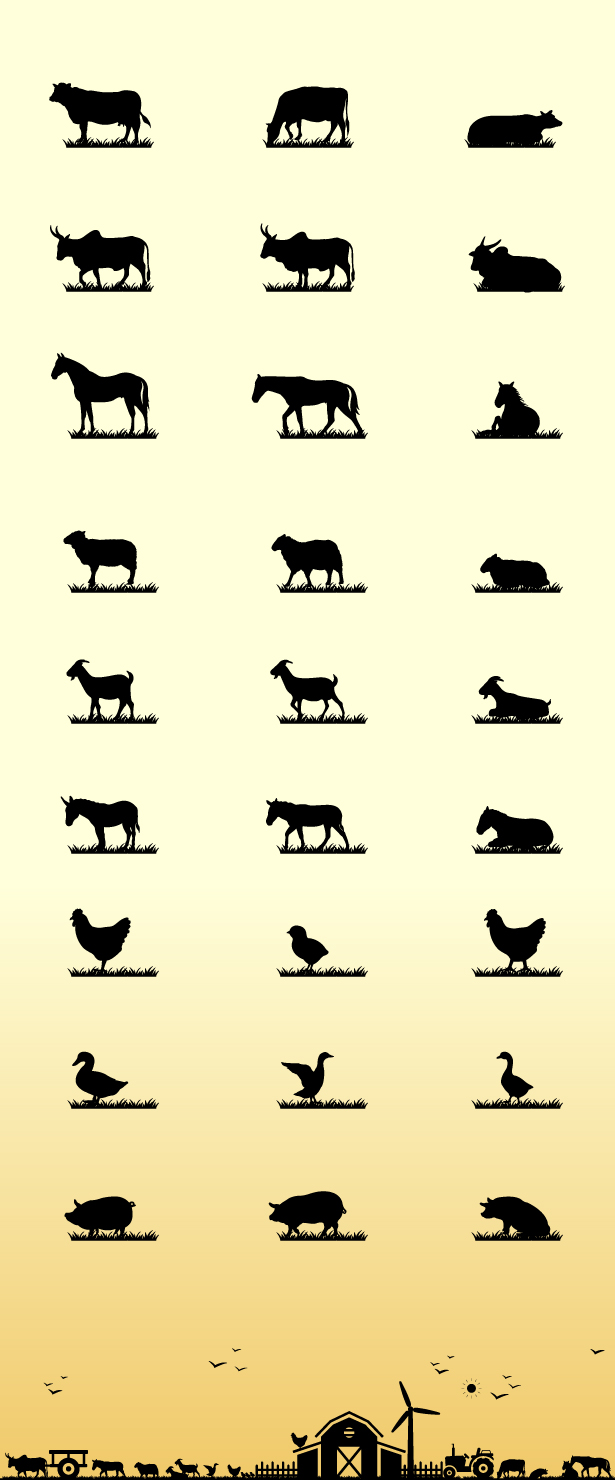 Animals Icons