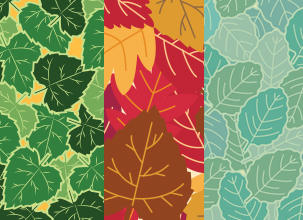 Free Vector Leaves Pattern